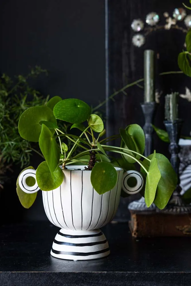 Black & White Stripe Vase with Handles