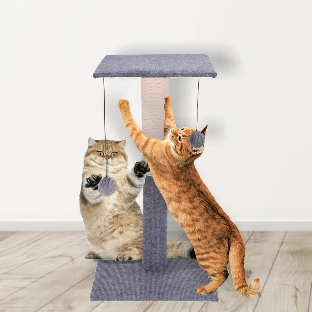 Cat Scratch Tree Stand with 2 Balls - 60cm